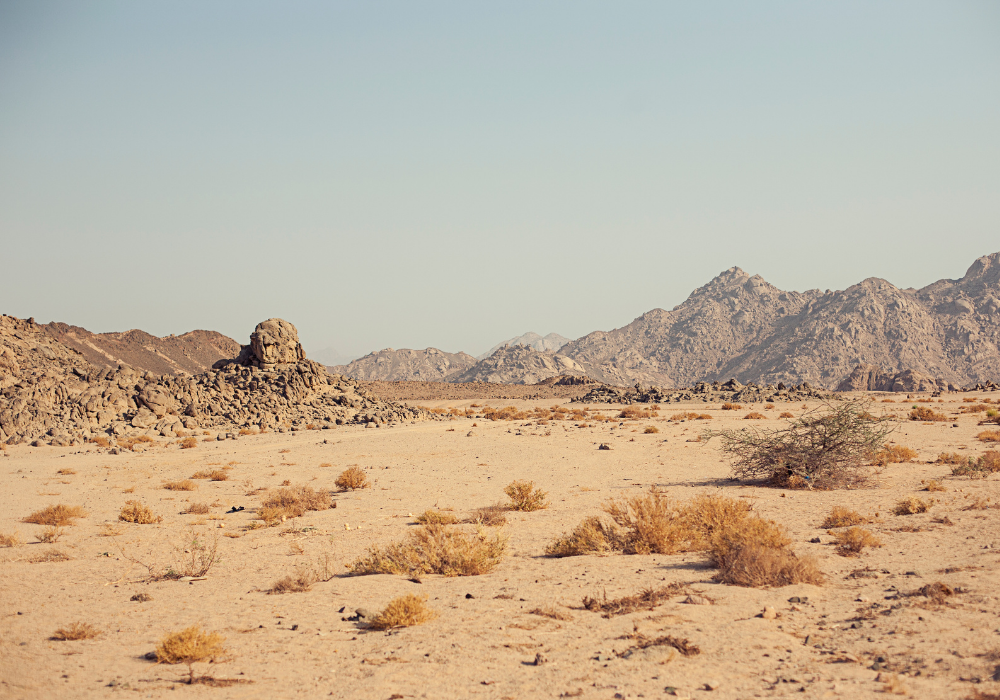 Photo of Extremely Interestin