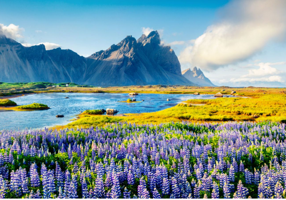 Photo of Iceland Travel - Exp