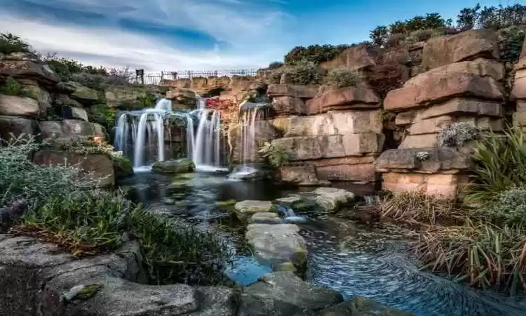 Photo of Ah, Madeira!