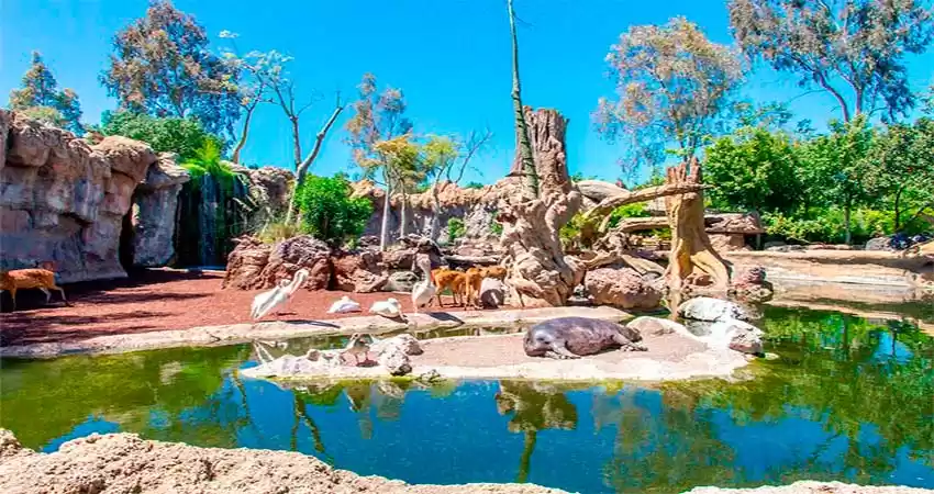 Photo of Bioparc Valencia