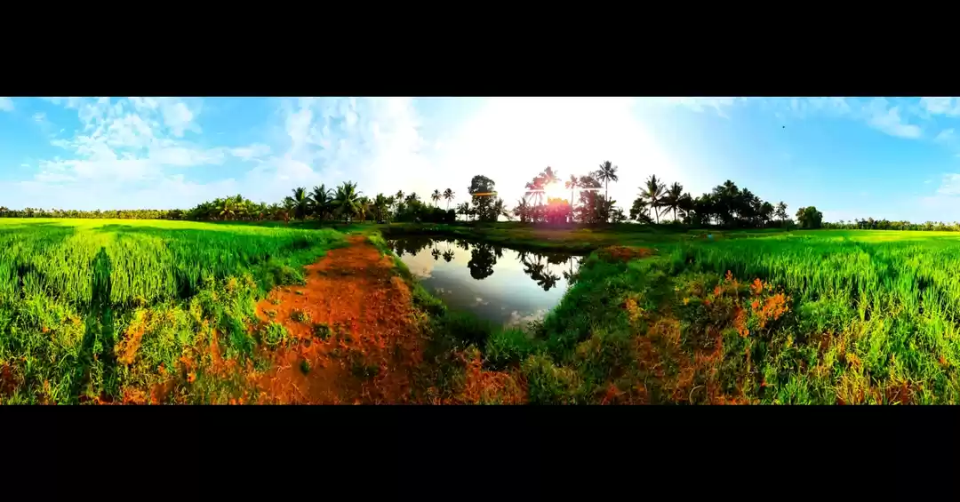 Photo of A refreshing evening