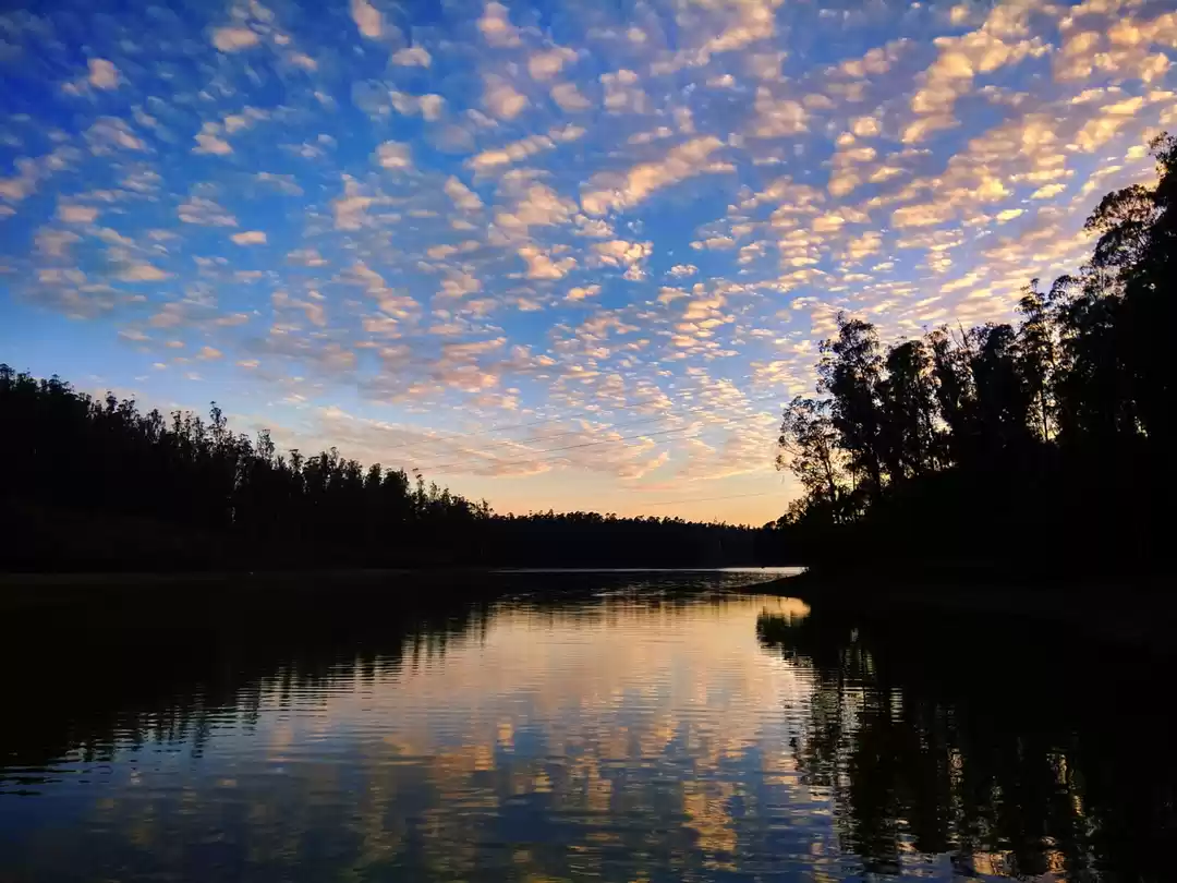 Photo of PARADISE ON THE HILL