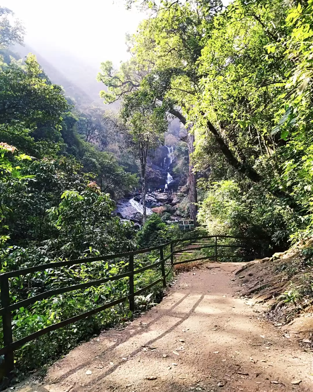 Photo of THE DYNAMIC BEAUTY O