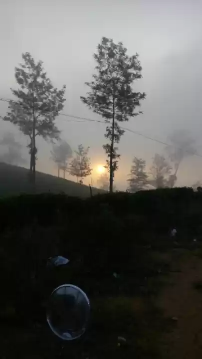 Photo of The winter trip – Oo