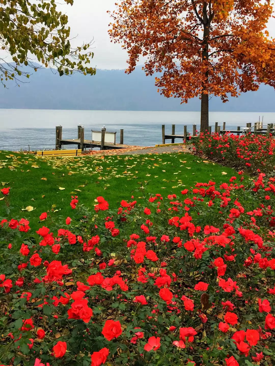 Photo of Color Pop from Weggi