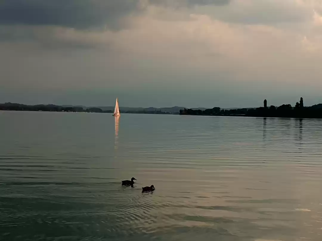 Photo of PEACE #TCComfort