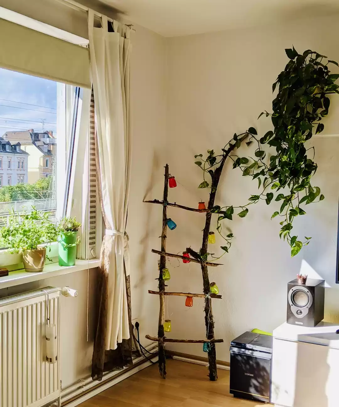 Photo of No outdoor space,no 