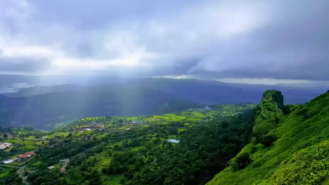 Photo of Oh! the fruits of "r