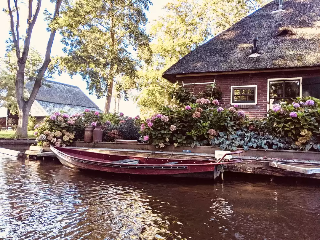 Photo of Move Over Venice, Th