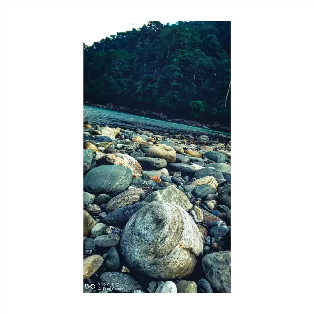 Photo of Tin chule,19