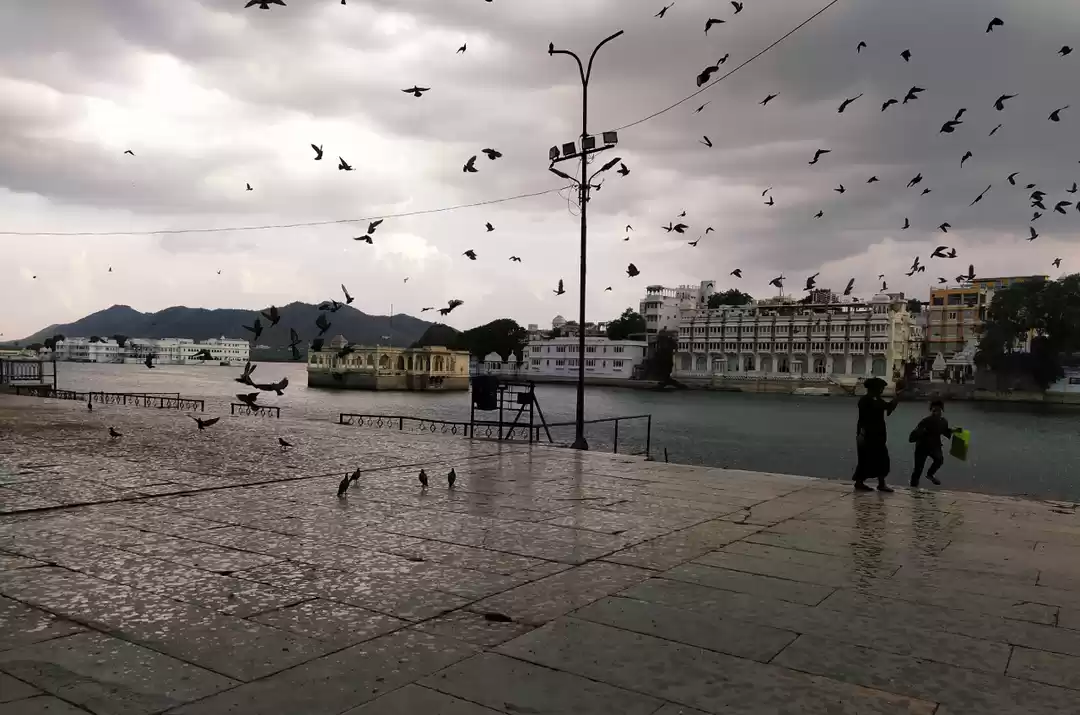 Photo of Delhi To Udaipur | U