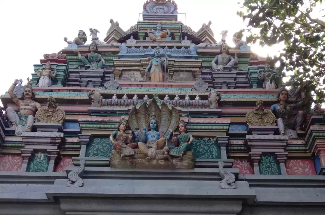 Photo of Pushkar Rajasthan | 