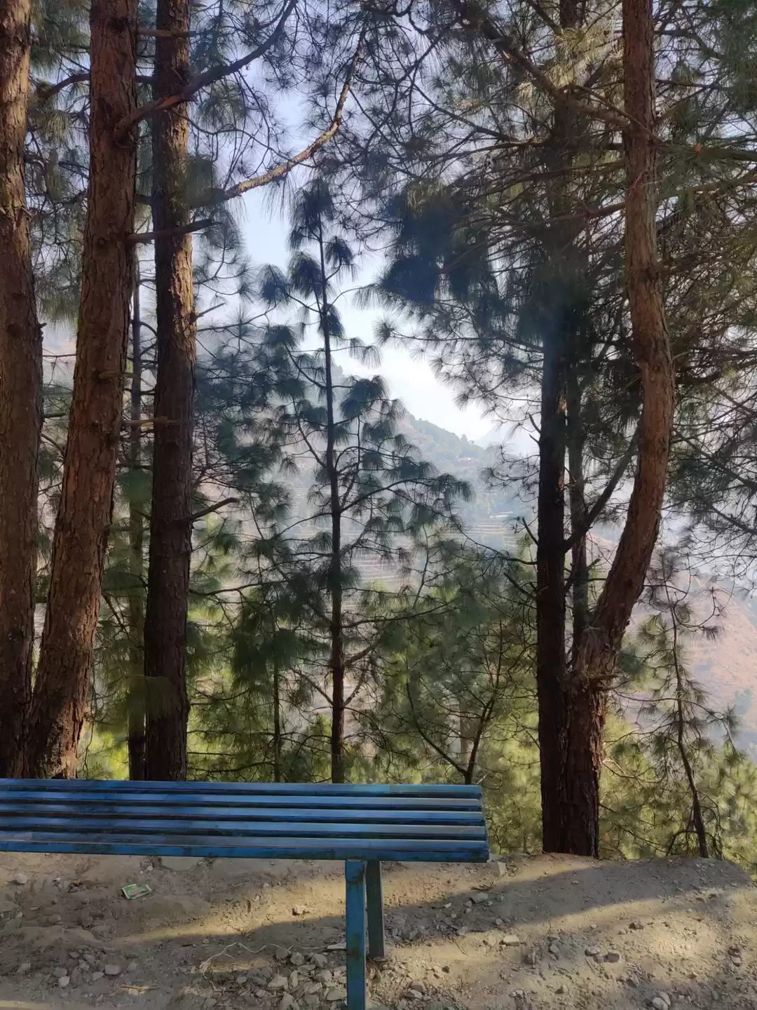 Photo of New Year's eve in th