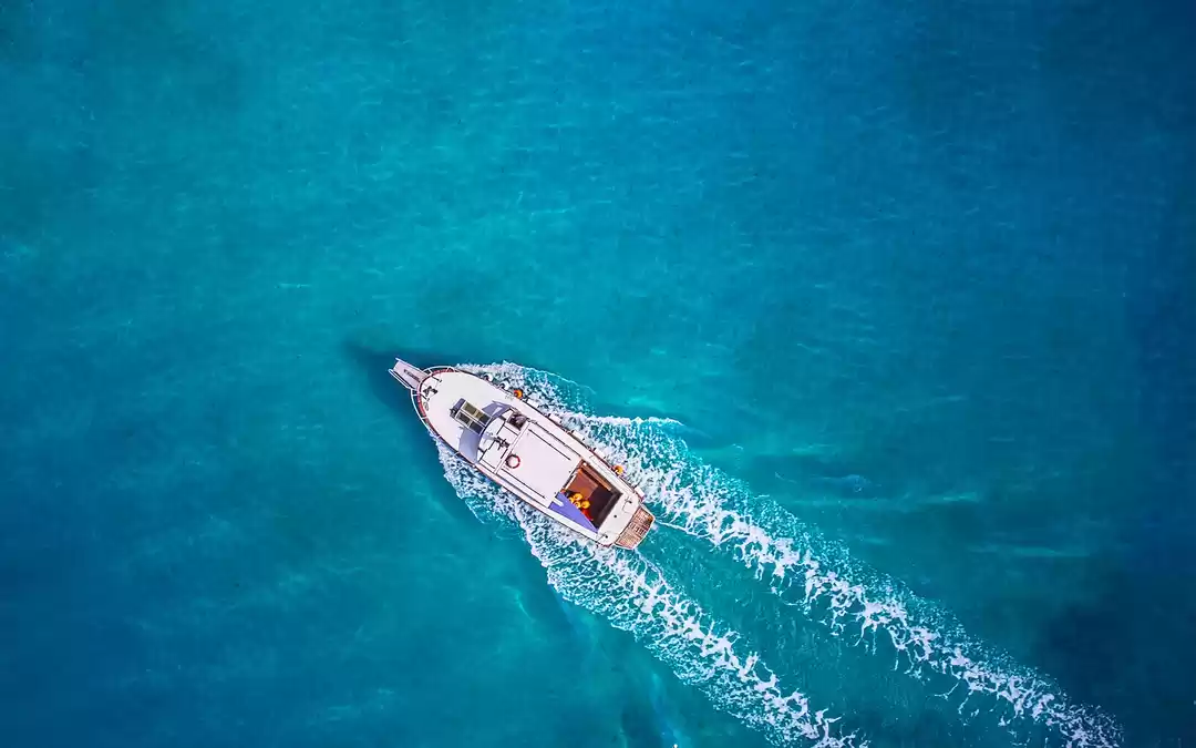 Photo of Srinivas Venu