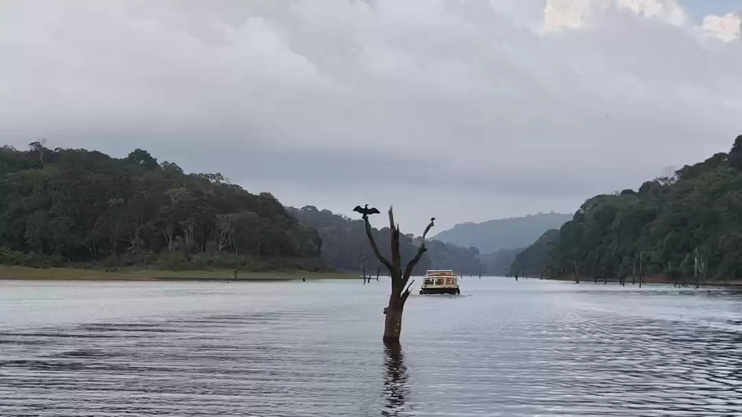 Photo of Periyar Lake Boating