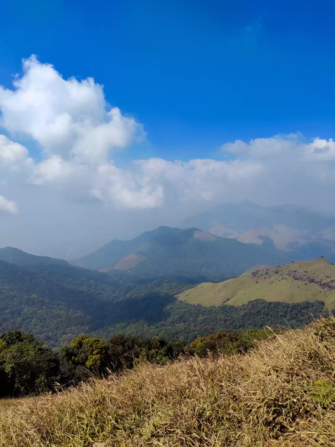 Photo of The Tadiandamol trek