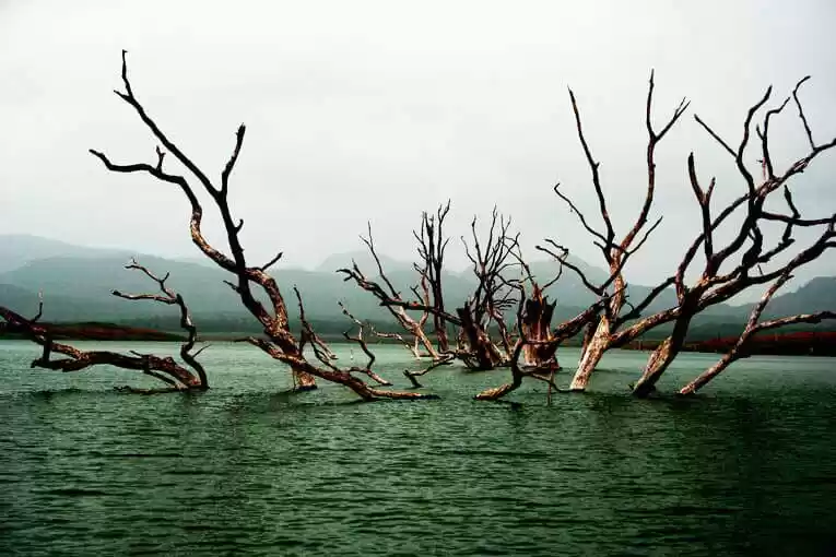 Photo of Madhai: A Hidden Gem