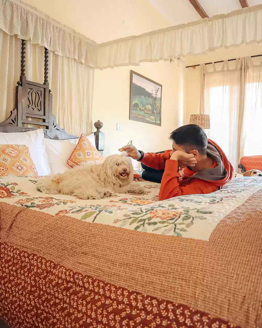 Photo of 5 Pet-Friendly Getaw
