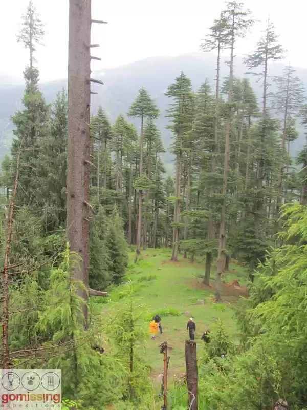 Photo of The adventure trail 