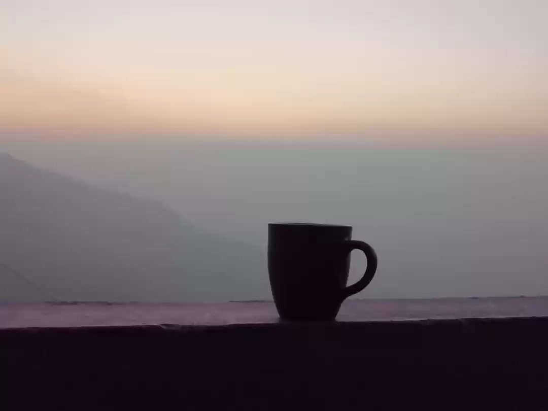 Photo of Amazing Trip