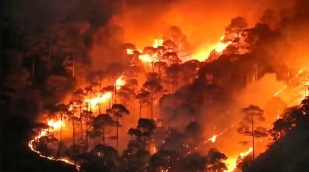 Photo of Raging Forest Fires