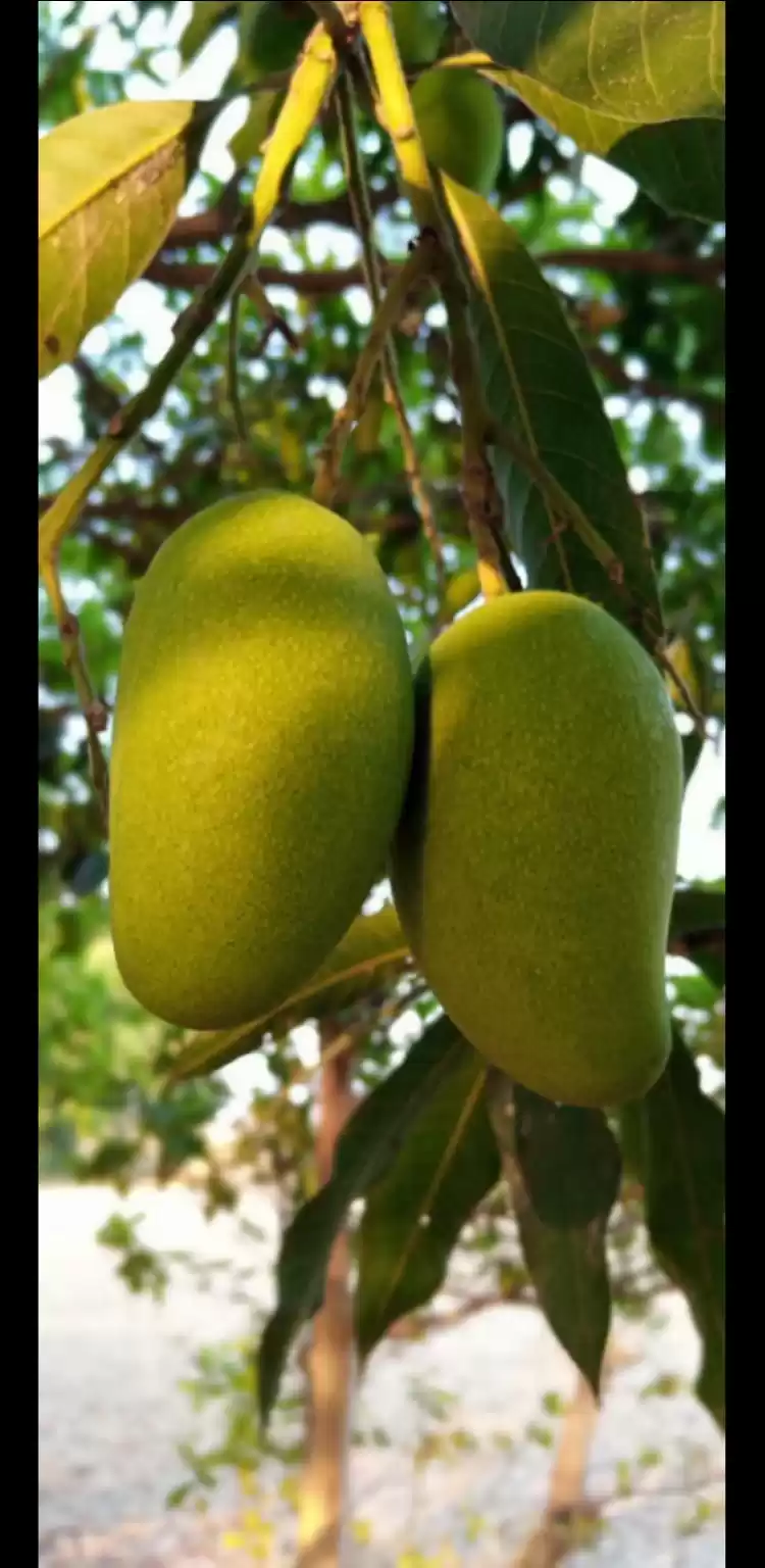 Photo of Nature lover #Garden