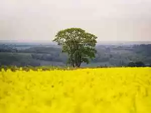 Photo of ऐतिहासिक और धार्मिक