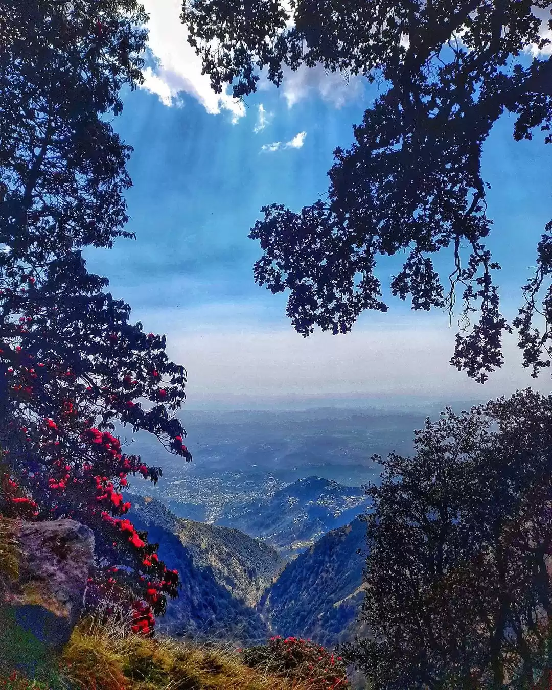 Photo of हिमाचल के ये चुनिंदा