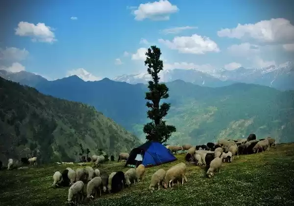 Photo of एक बार जरूर करें उत्