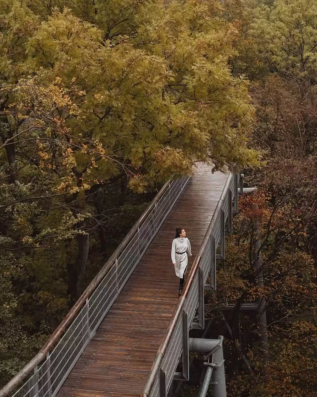 Photo of काली टाइगर रिजर्व का