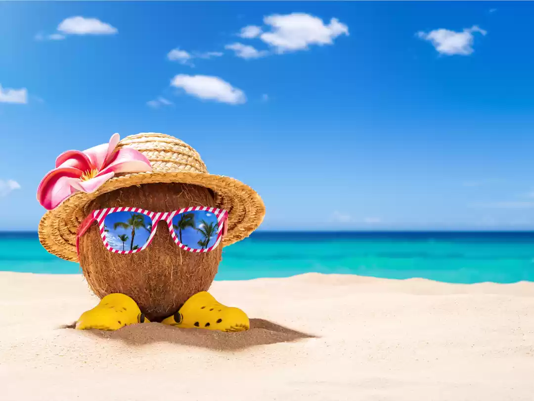 Photo of भारत के दो और beache