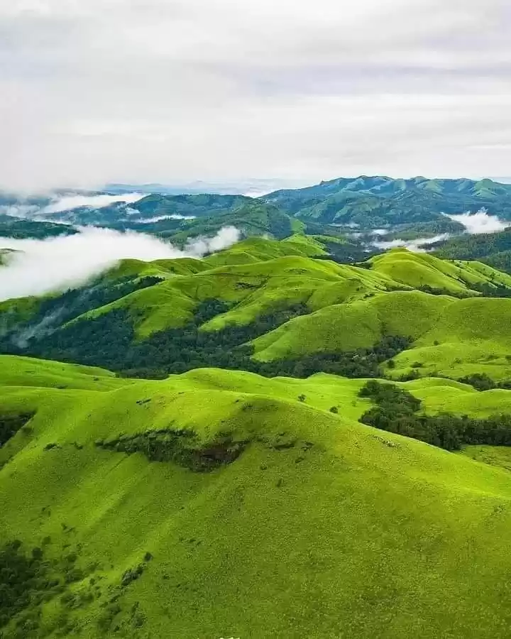 Photo of नए साल में पार्टनर क