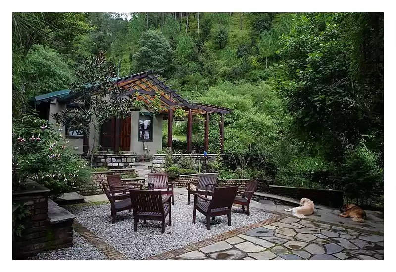 Photo of कुमाऊँ घाटी के यह आक