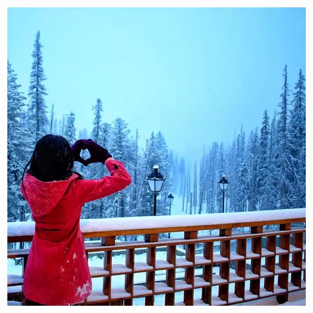 Photo of सर्दियों का हुआ आगाज