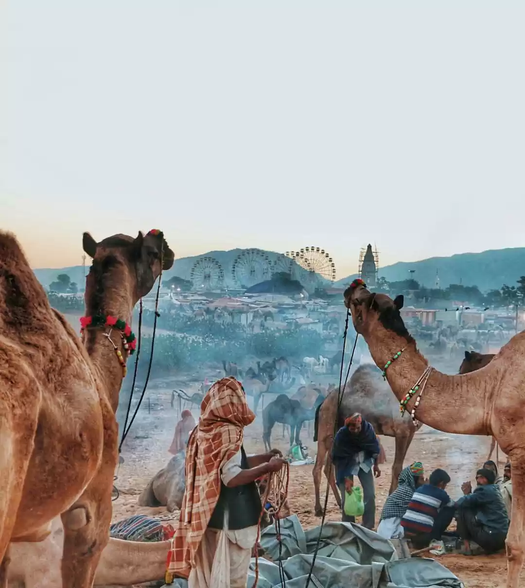 Photo of Pushkar Mela 2023 :