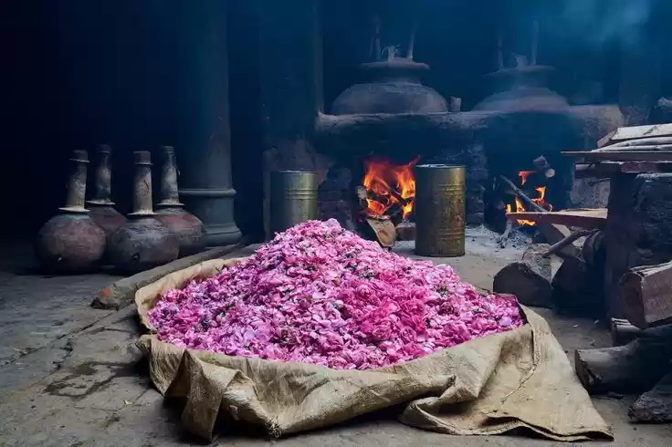 Photo of यूपी की इत्र नगरी,जह