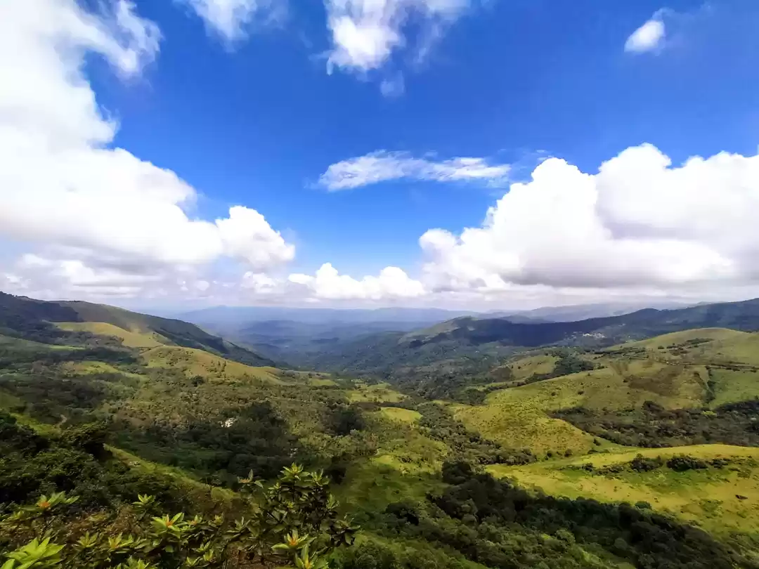 Photo of My travel frenzy ami