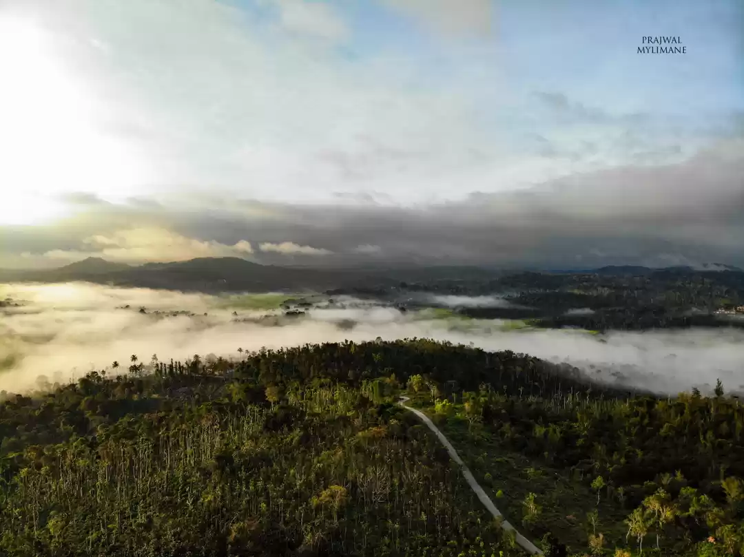 Photo of Coffee land, Mudiger