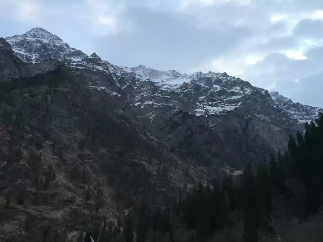 Photo of The killer silence o