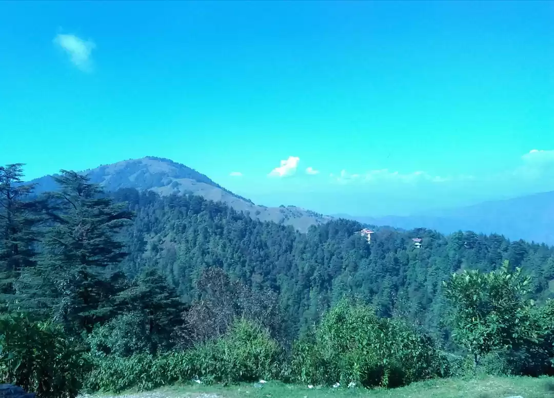 Photo of Joy and Happiness of