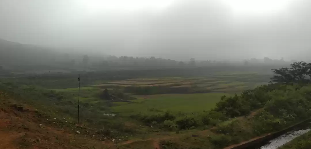 Photo of Araku Early morning 