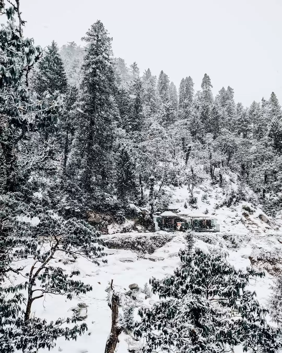 Photo of An afternoon at Mini