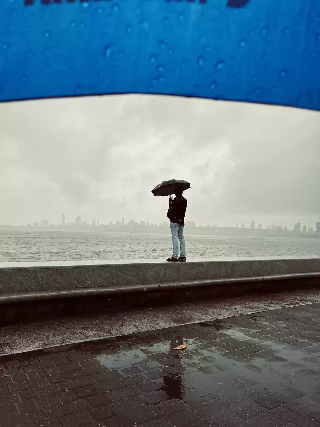 Photo of Marines and its hear