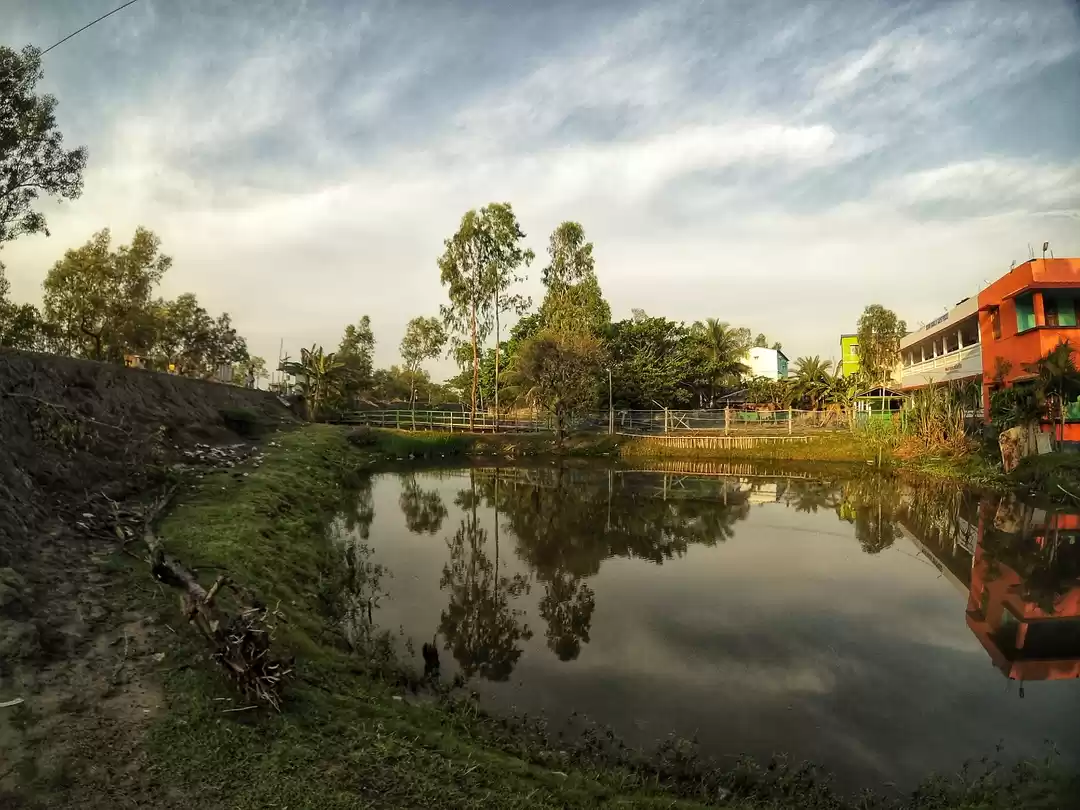 Photo of Sundarba- The Myster