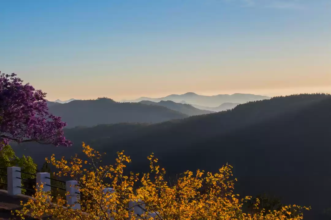 Photo of Yercaud- Glorious mo