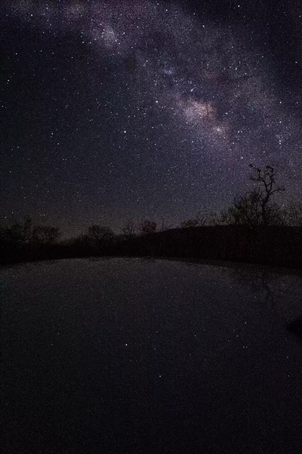 Photo of Chasing Milkyway in