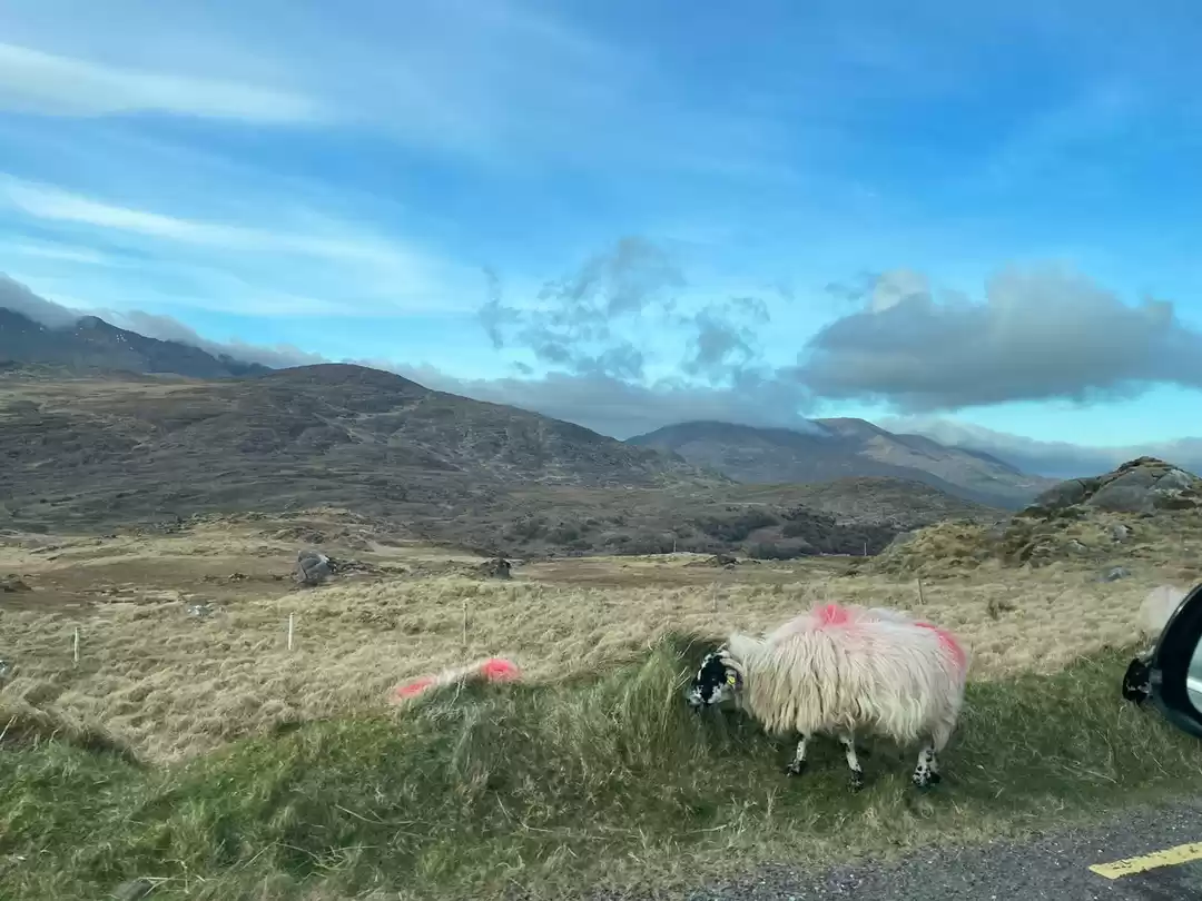 Photo of Kerry Diaries #roadt