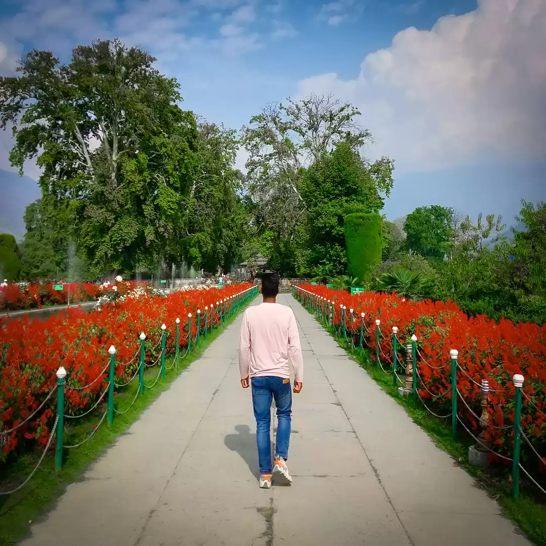 Photo of Shalimar Bagh