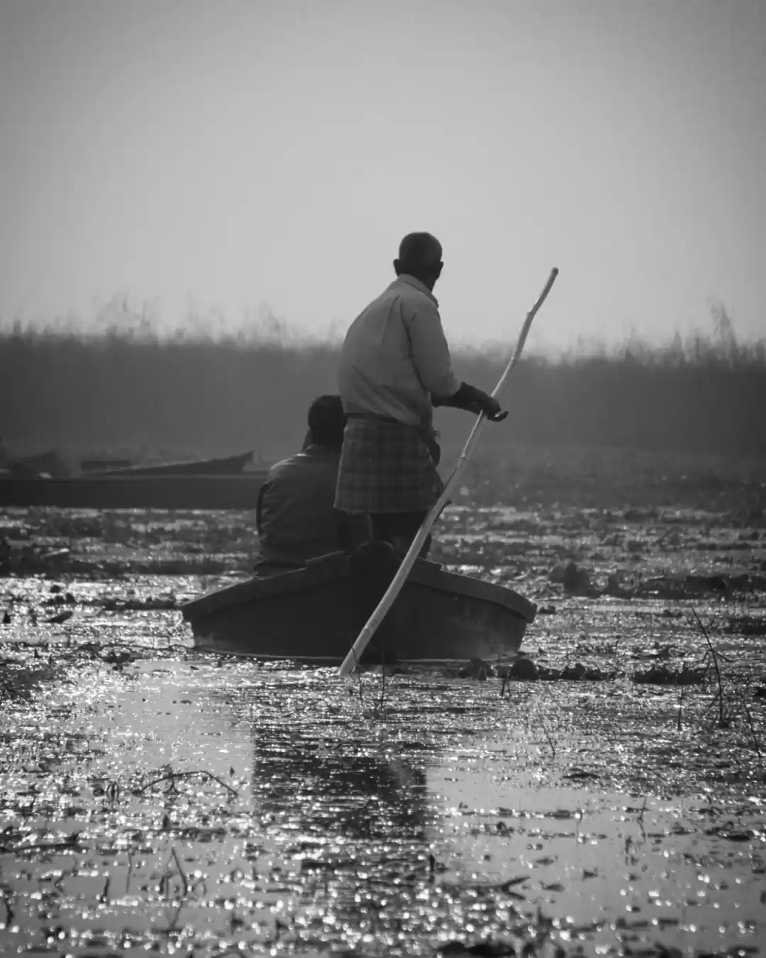 Photo of Largest freshwater o