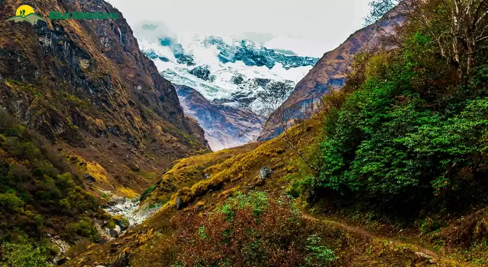Photo of Pindari Glacier Trek